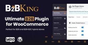 B2BKing Pro v5.4.50